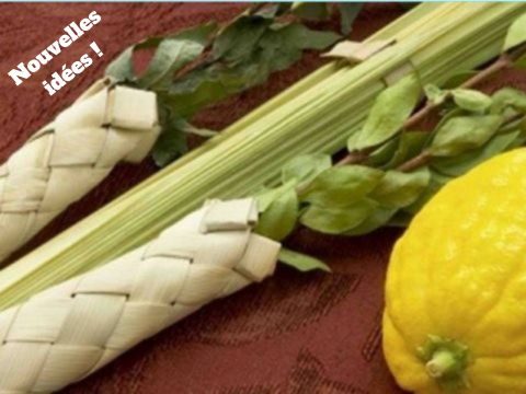 Nouvelles idées de sortie