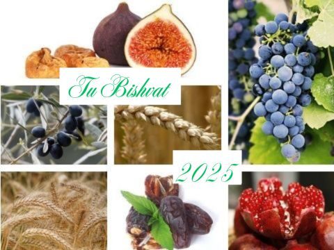 Tu Bishvat 2025