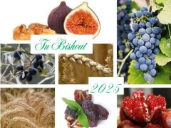 Tu Bishvat 2025
