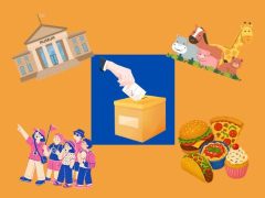 activite pendant elections