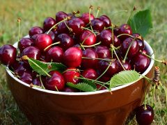 cerises 2020