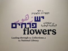 expo fleurs