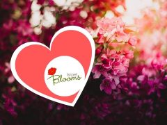 israel blooms