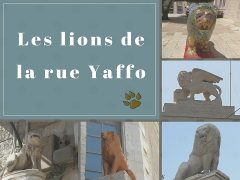 lions-jerusalemfutee