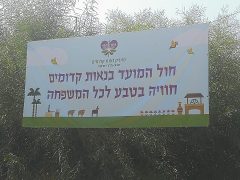 neot kedumim
