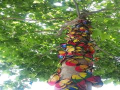 papillon