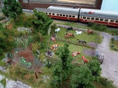 petits trains