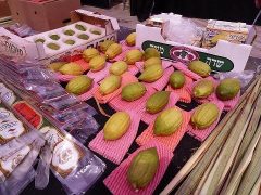 shuk44